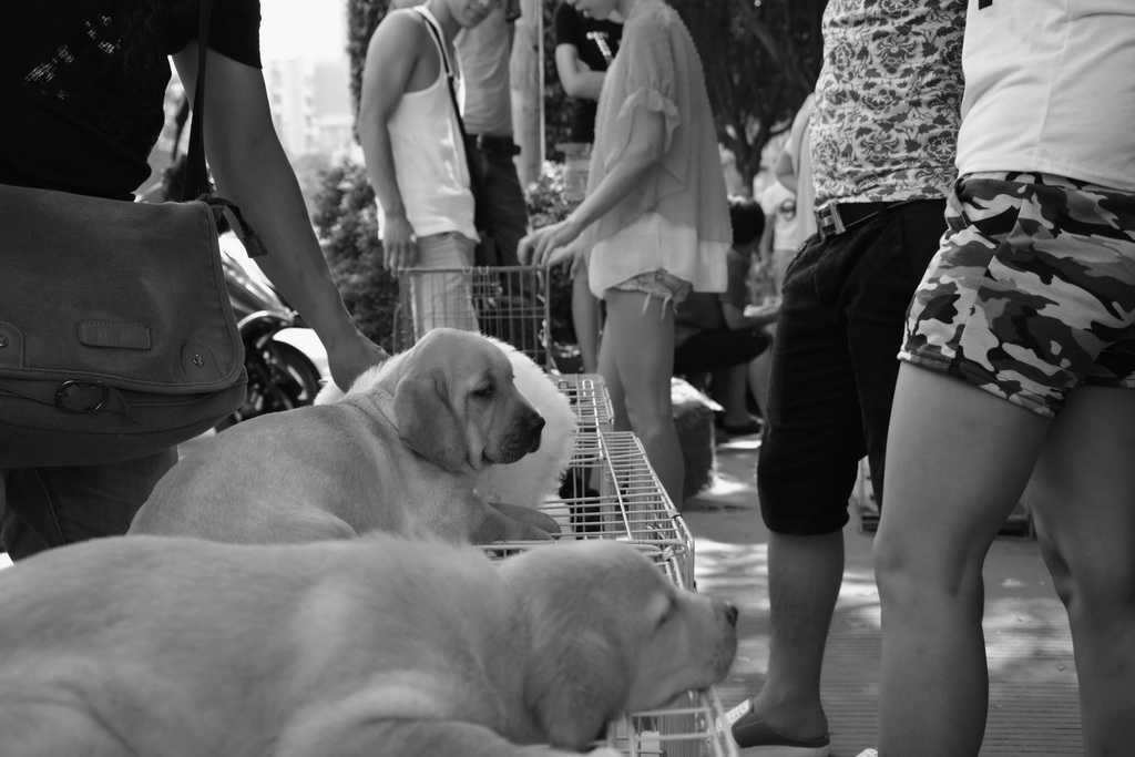 DSC_2303_exposure_exposure_������С.JPG