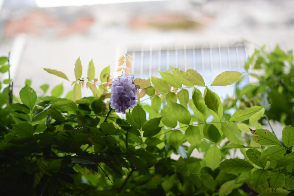 DSC_2742_exposure_������С.JPG
