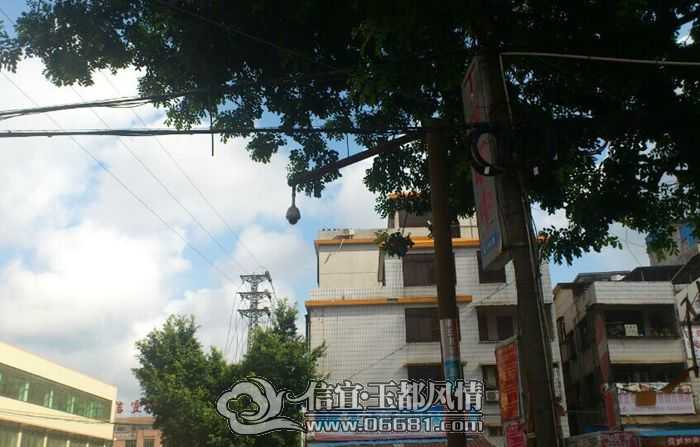 QQͼƬ20140903105206.jpg