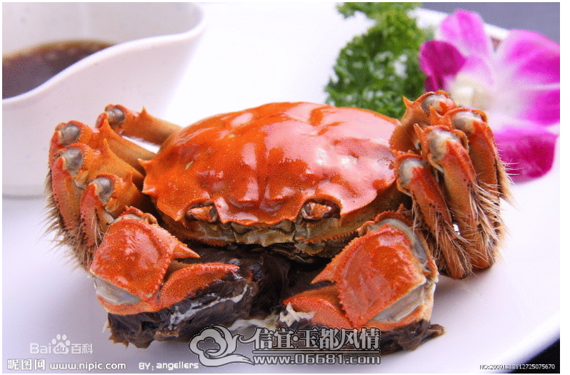 QQͼƬ20140903133242.png