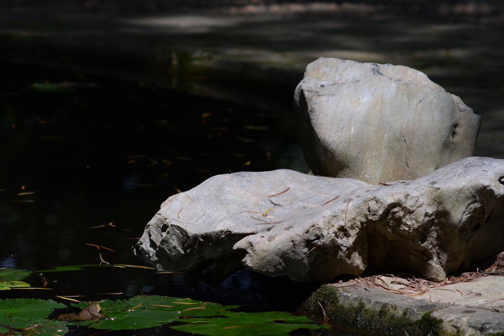 DSC_5587_������С.JPG