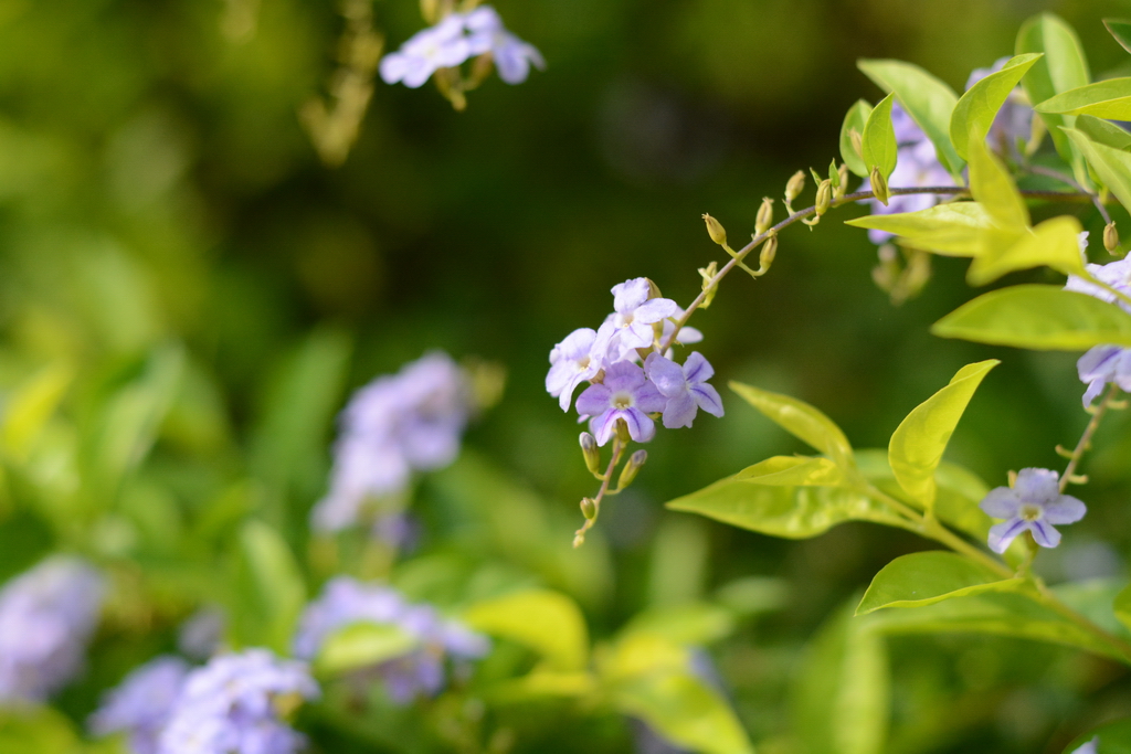 DSC_5204_������С.JPG