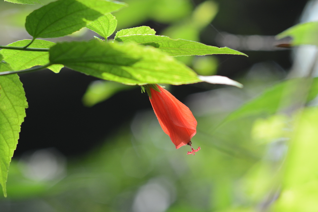 DSC_5643_������С.JPG