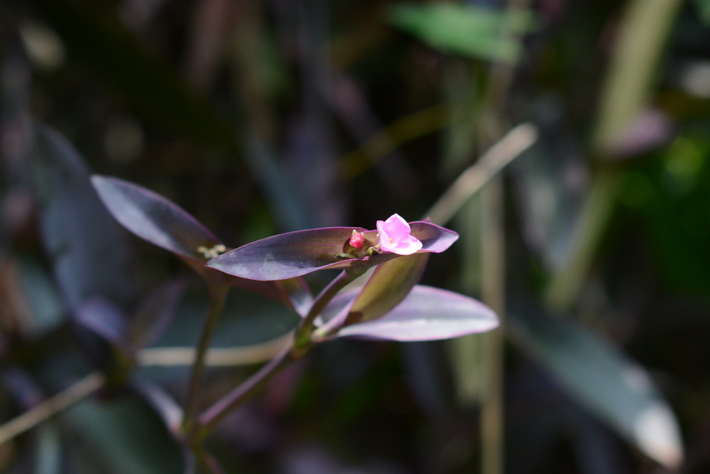 DSC_5657_������С.JPG