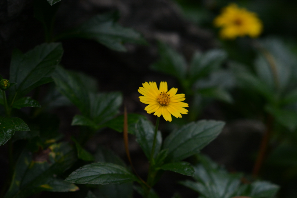 DSC_5636_������С.JPG