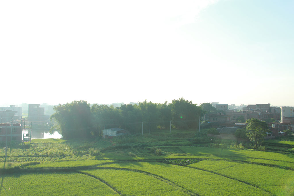 IMG_4843.jpg