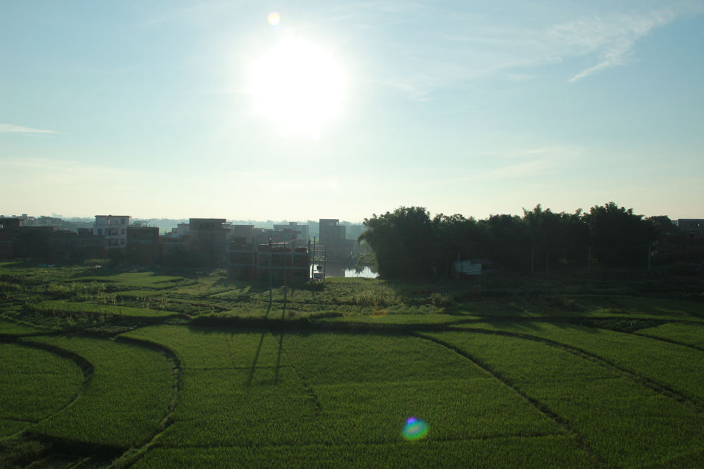 IMG_4842.jpg