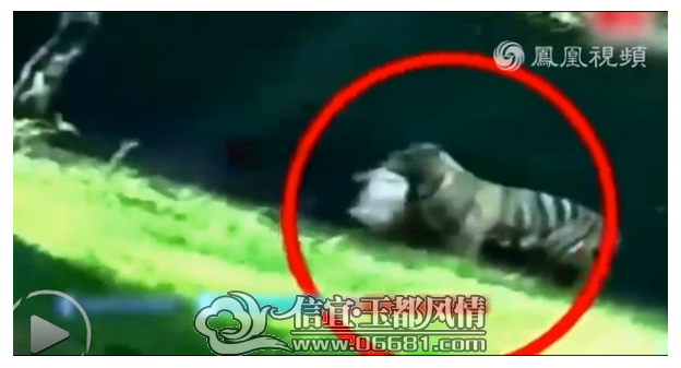 QQ��ͼ20140924102520.png