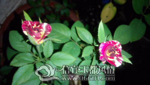 IMG_20141003_230929.jpg