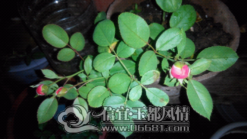 IMG_20141003_230814.jpg