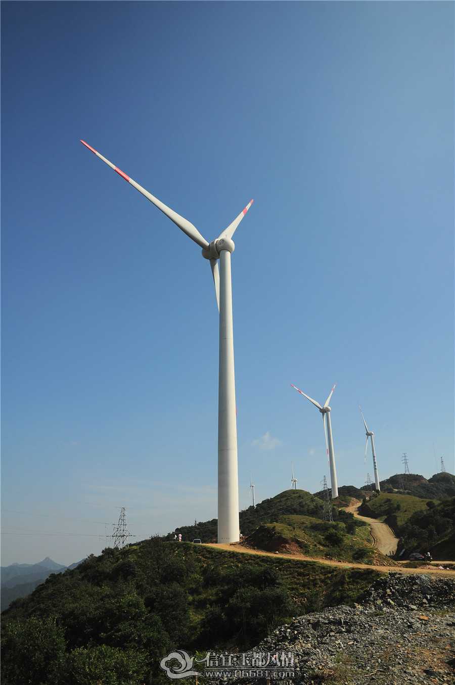 DSC_0311.JPG