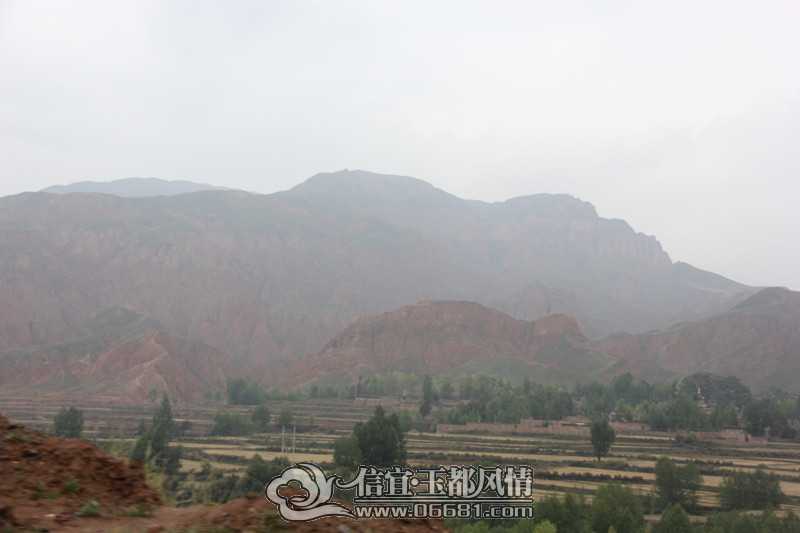 IMG_4336_����.jpg