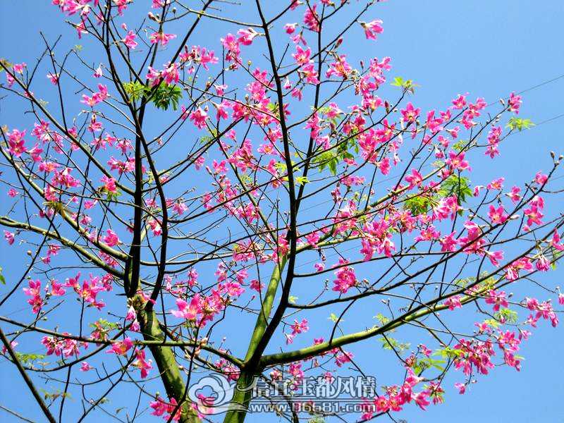 ľ�޻� 003.jpg