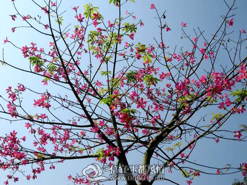 ľ�޻� 004.jpg