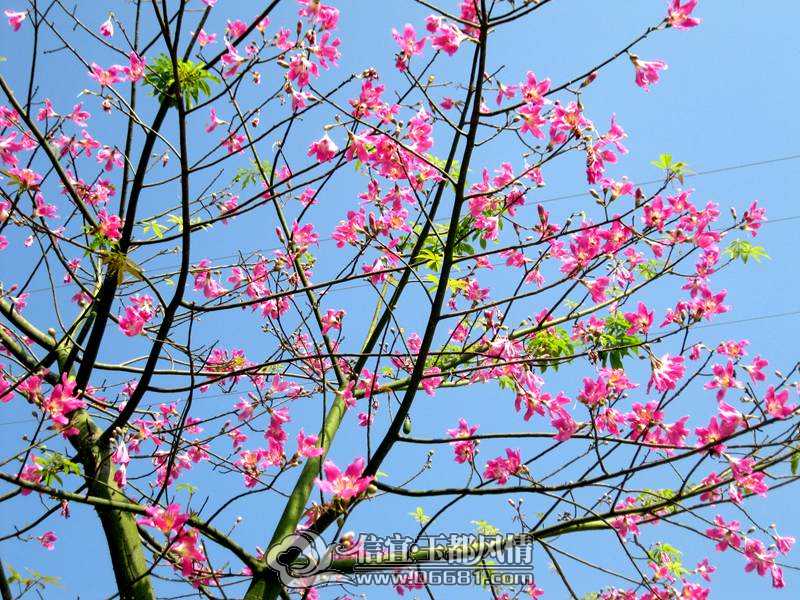 ľ�޻� 010.jpg