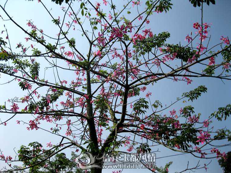 ľ�޻� 013.jpg