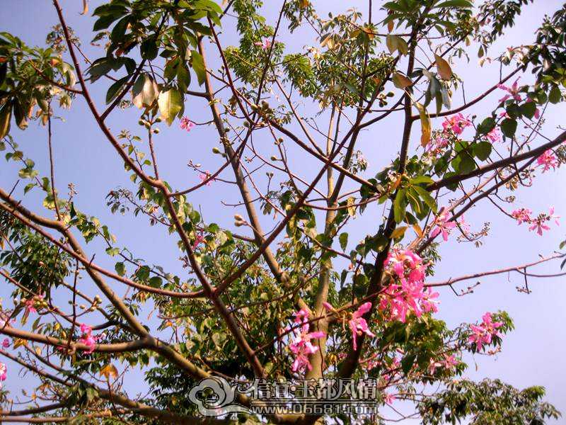 ľ�޻� 020.jpg