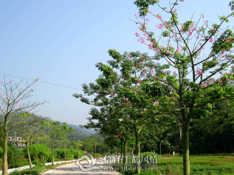 ľ�޻� 005.jpg