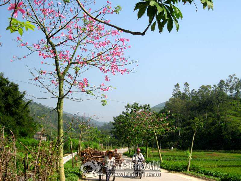 ľ�޻� 009.jpg