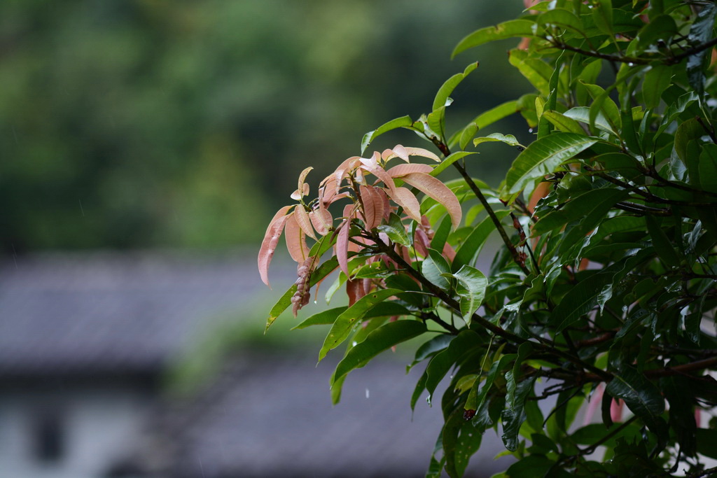 DSC_8581_������С_exposure.JPG
