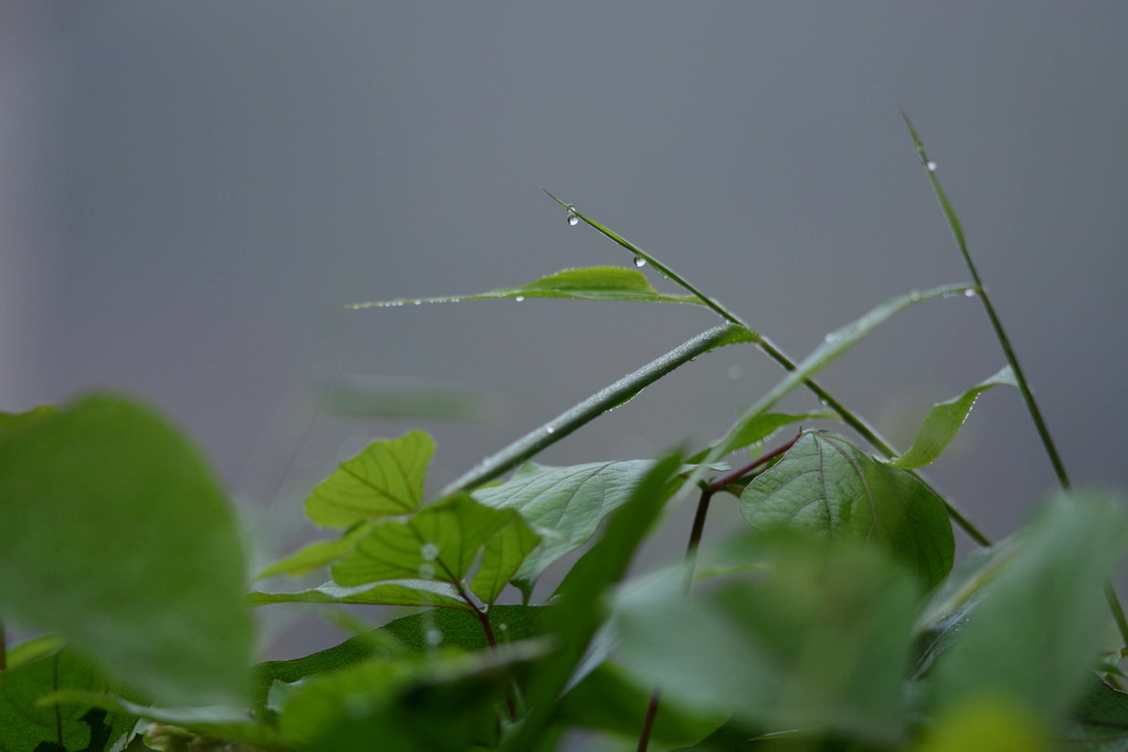 DSC_8648_������С_exposure.JPG