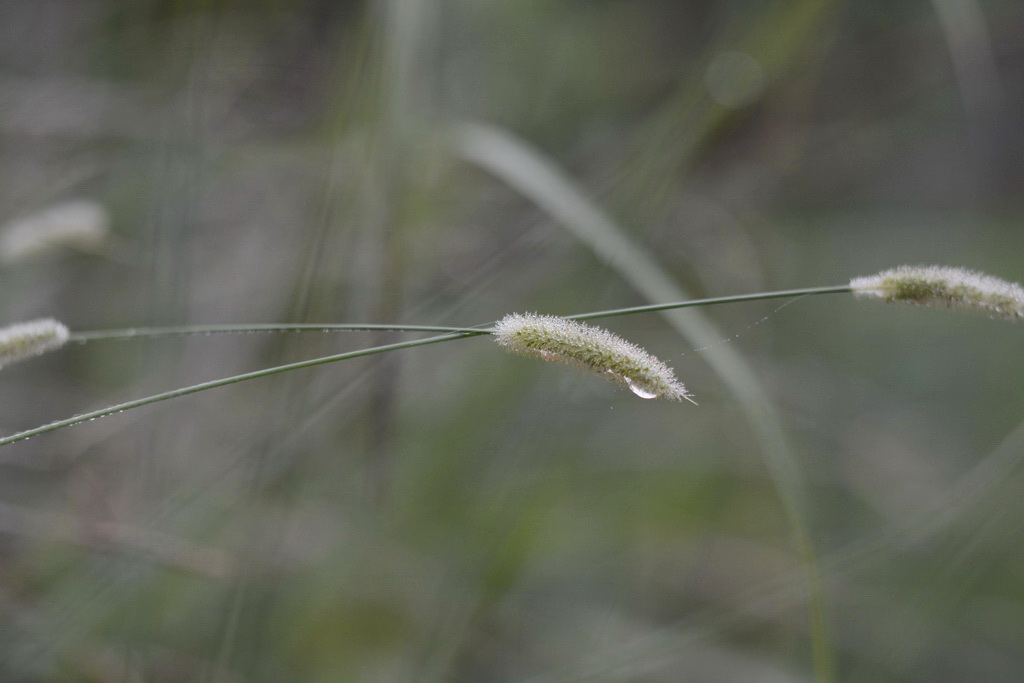 DSC_8685_������С_exposure.JPG