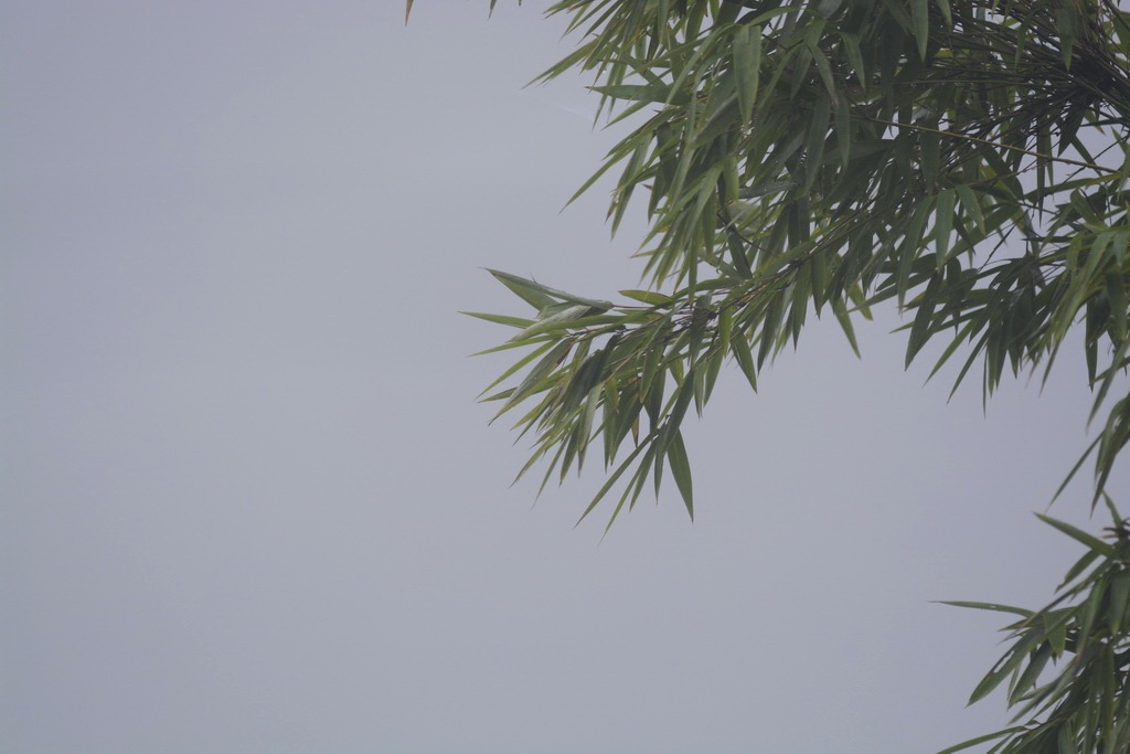 DSC_8691_������С_exposure.JPG