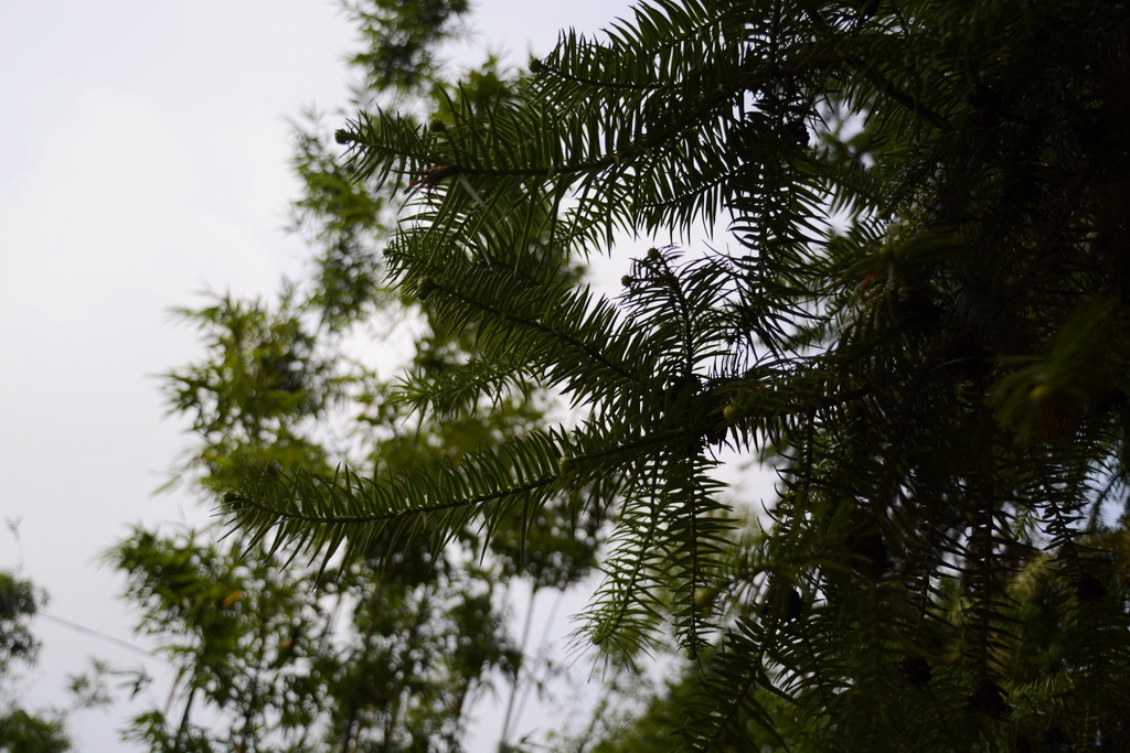 DSC_8767_������С_exposure.JPG