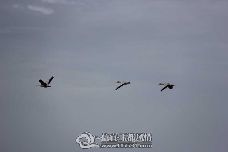 IMG_5110_����.jpg