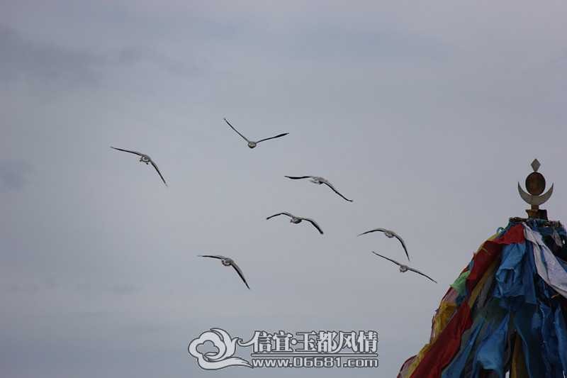 IMG_5187_����.jpg