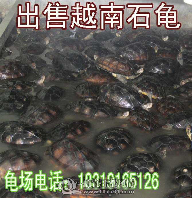 ��ͷ�󳡹� ����.jpg