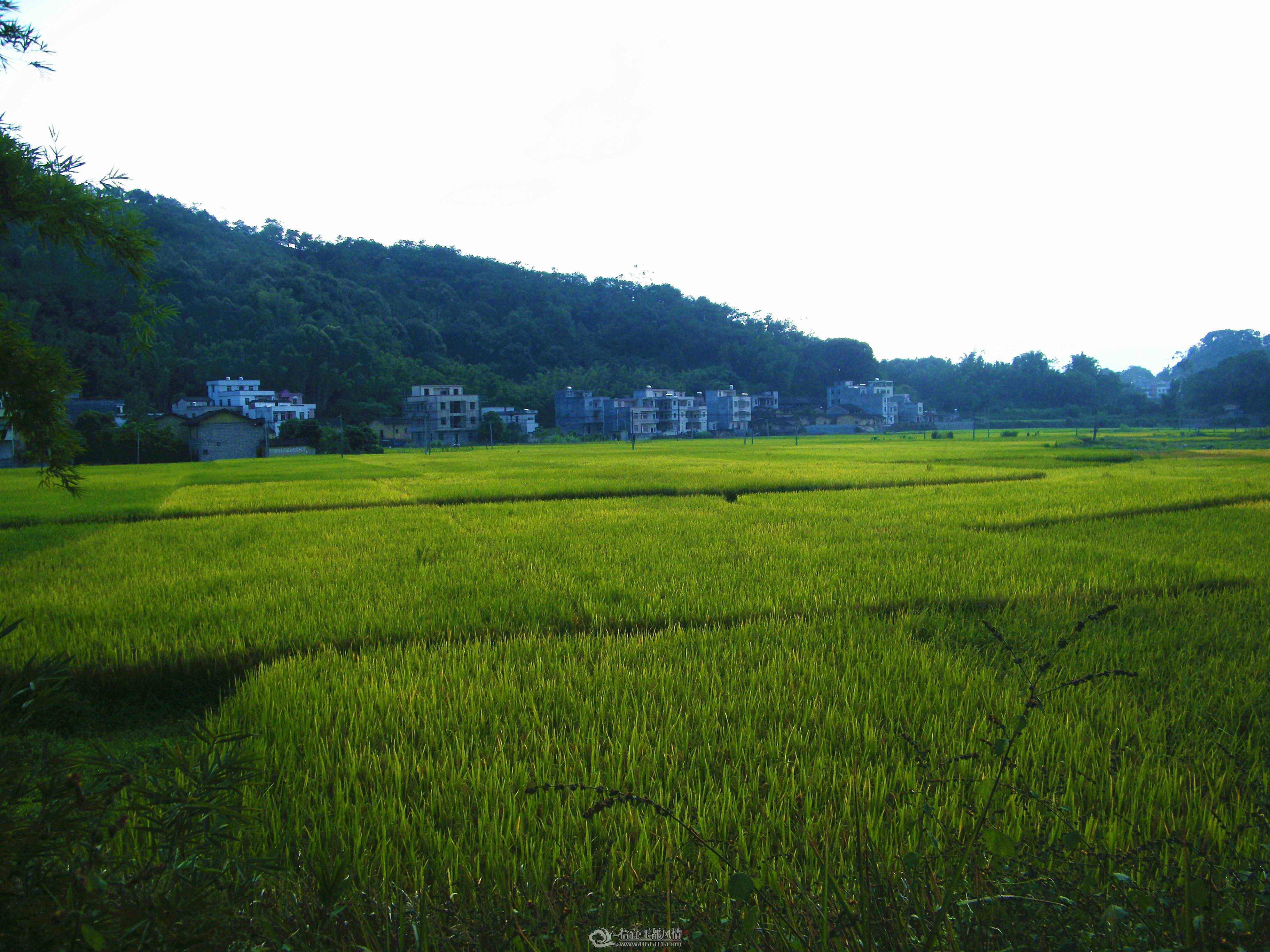 DSCF0838.JPG
