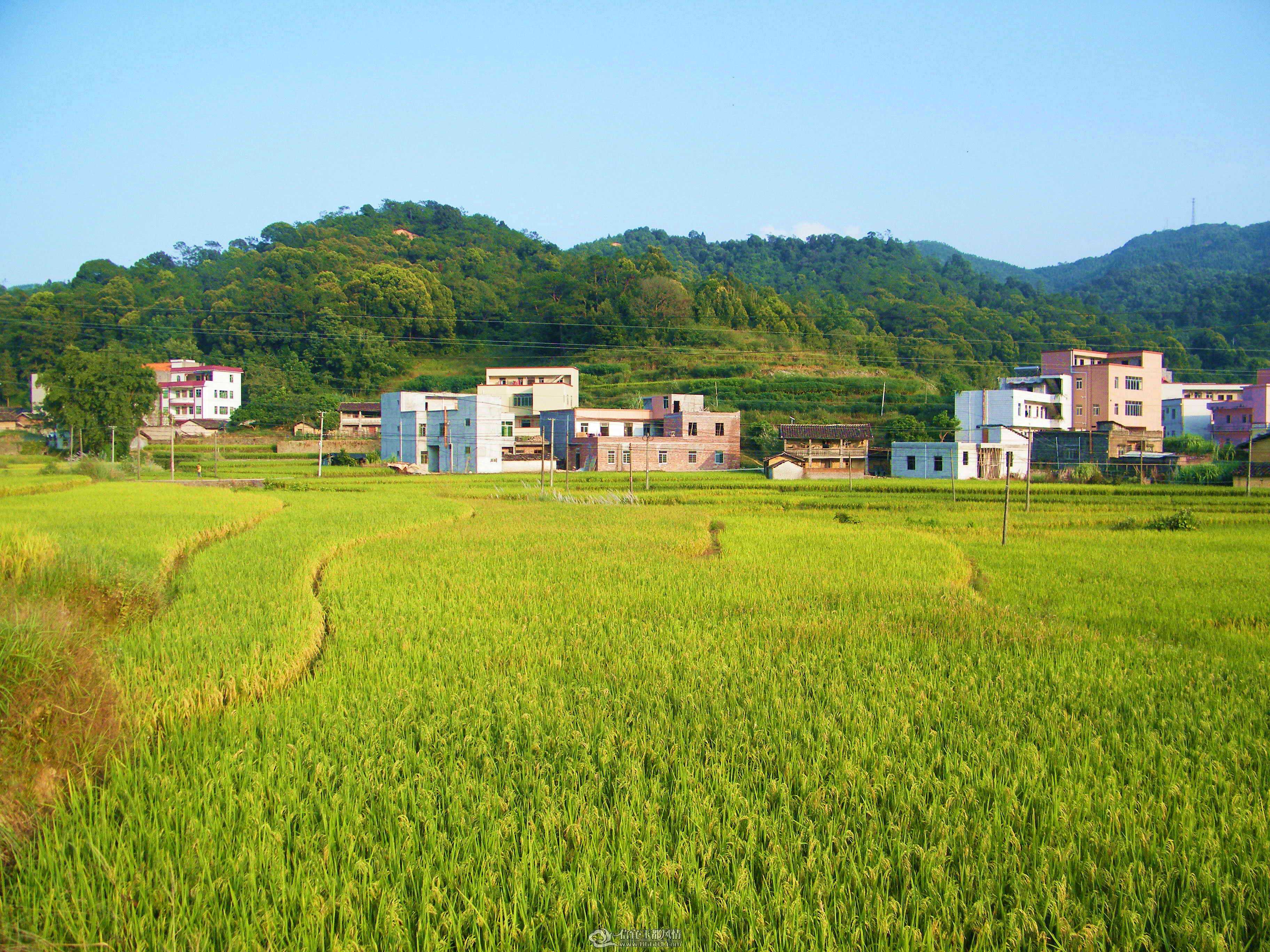 DSCF0842.JPG