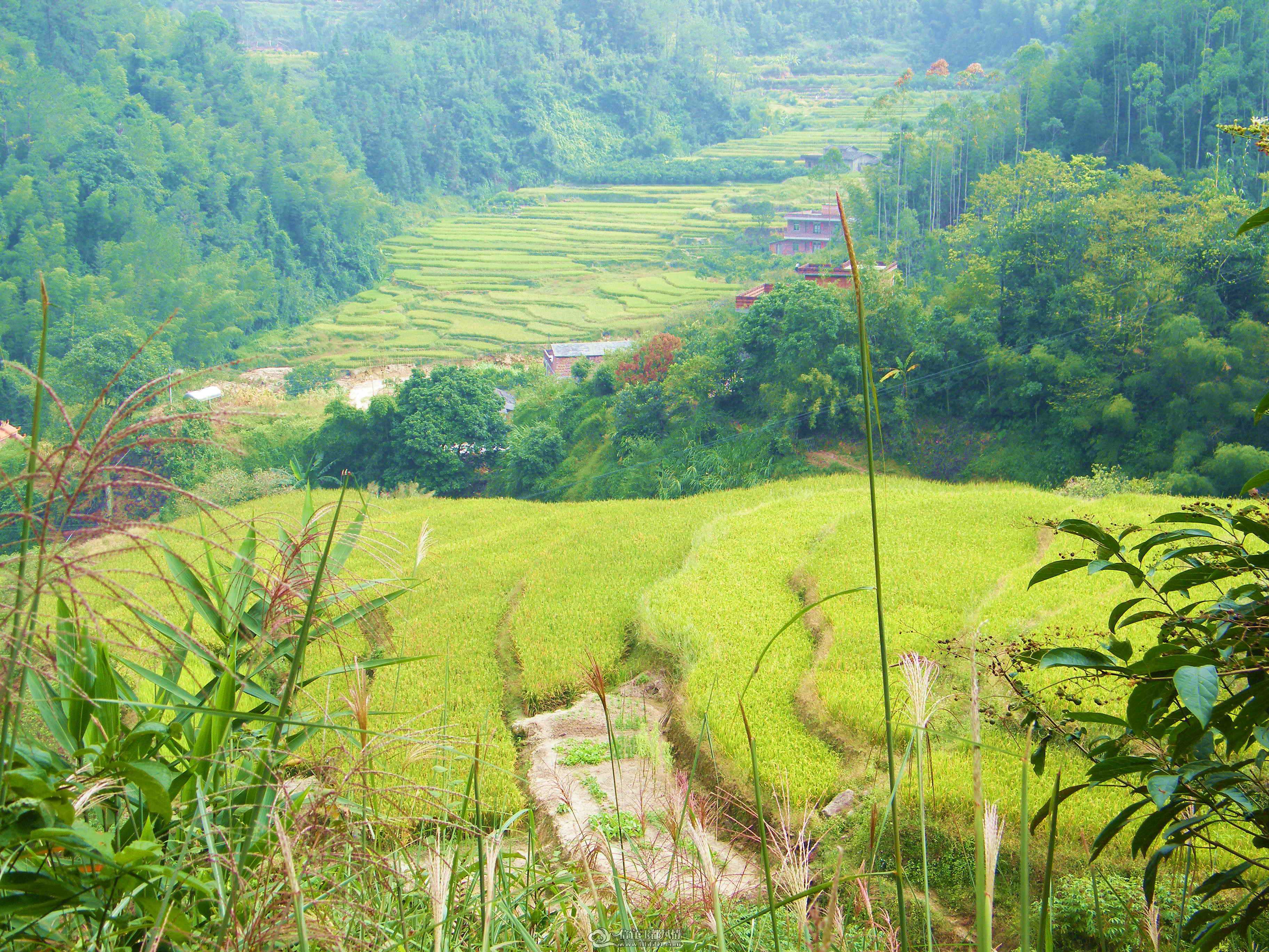 DSCF0813.JPG