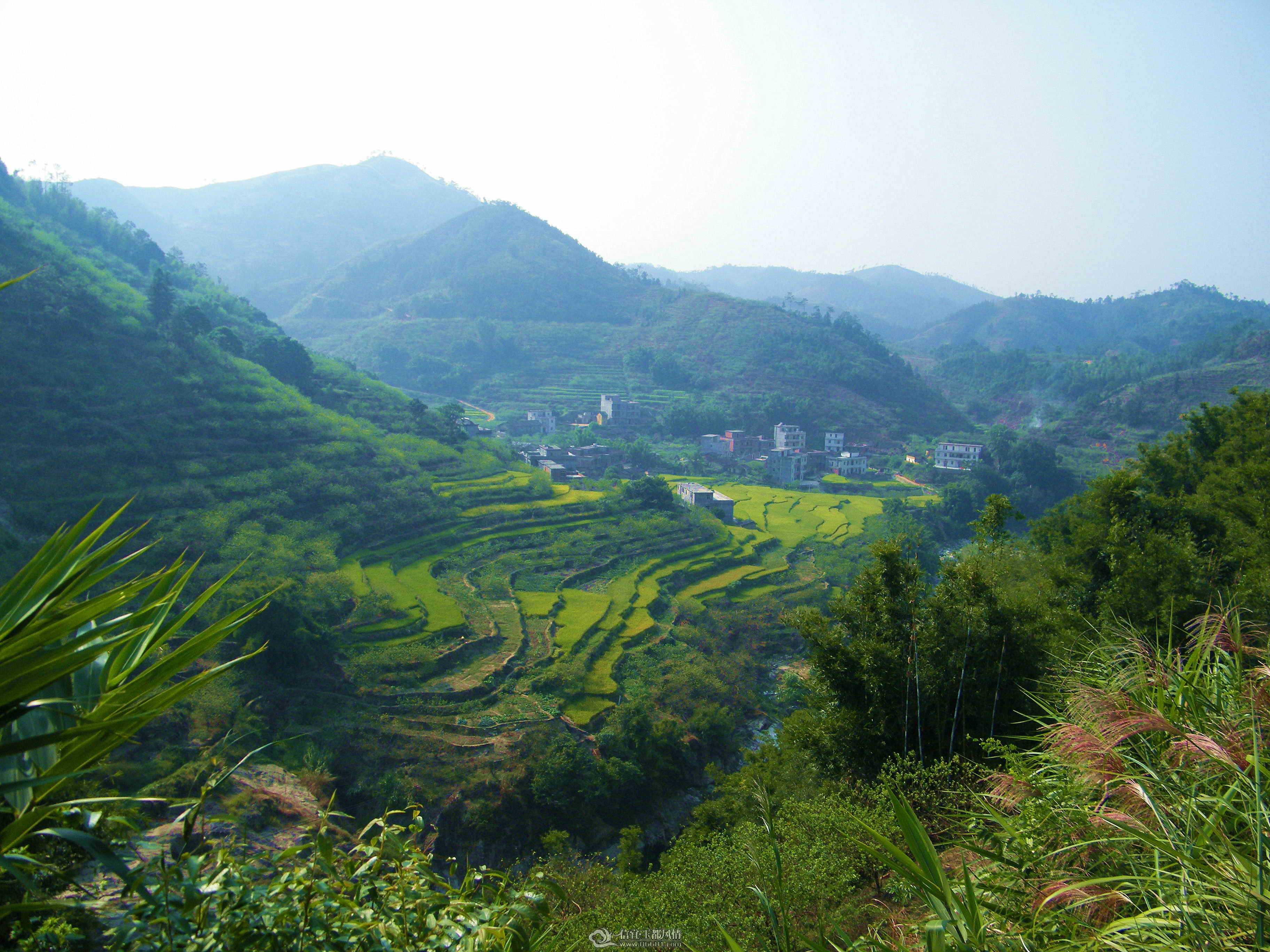 DSCF0817.JPG