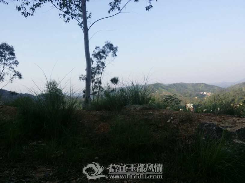 001159ddw67ayand50yaw1.jpg