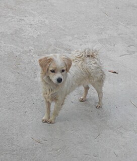 QQͼƬ20060325171301.jpg