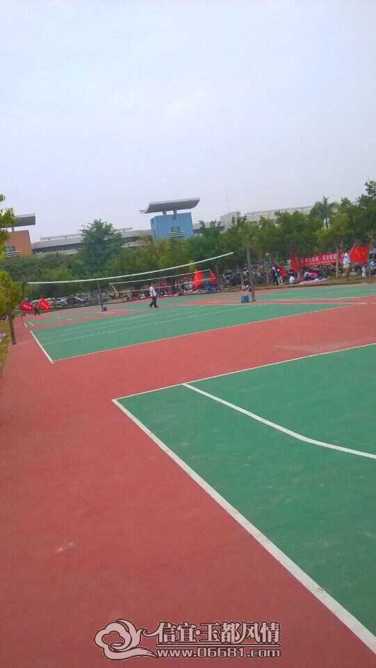 y5.jpg