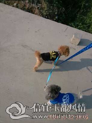 160412m4b72l9webed3l4e.jpg