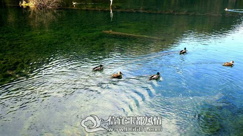 DSC01436_����.jpg