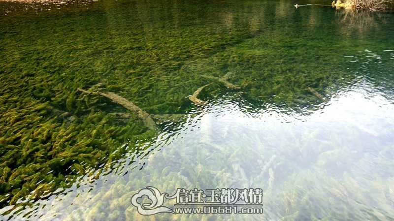 DSC01438_����.jpg