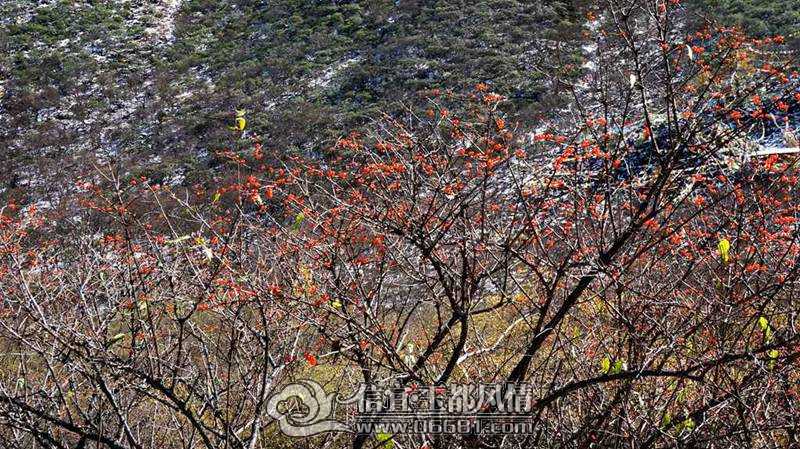 DSC01792_����.jpg