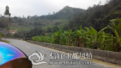 IMG_20141114_165556.jpg