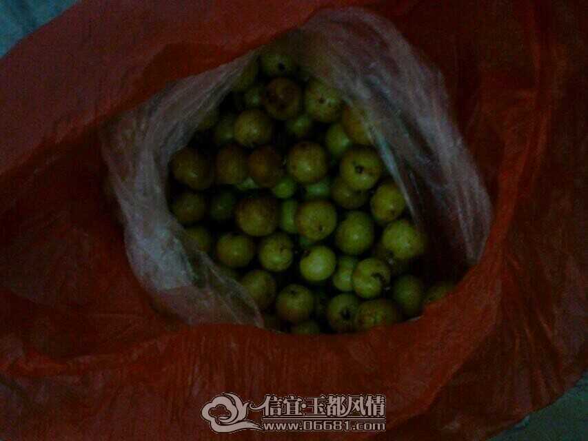 QQͼƬ20141116193311.jpg