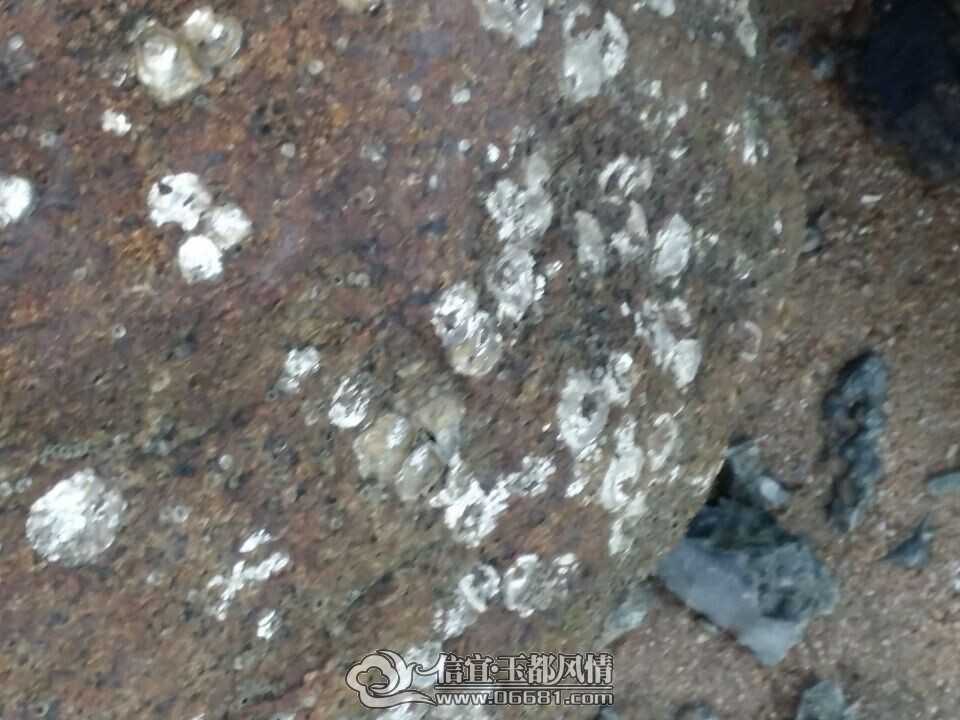�����񶼷�����_11.jpg