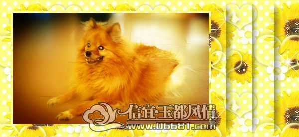 RSCN0091_����_����.jpg