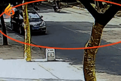 ������Ƶ.gif