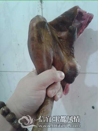 QQͼƬ20141207083949.jpg