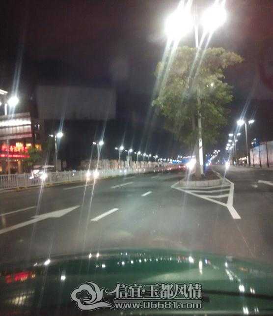 ׼����ï��