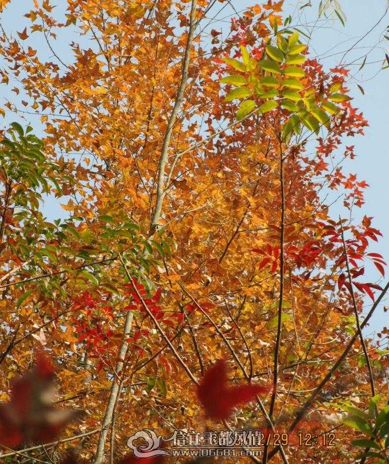 IMG_4753.JPG